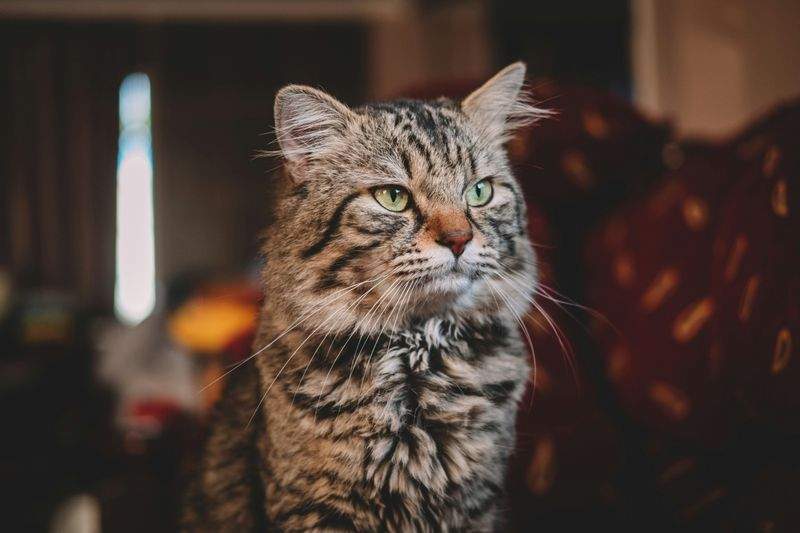 아이돌봄센터 - Image 3